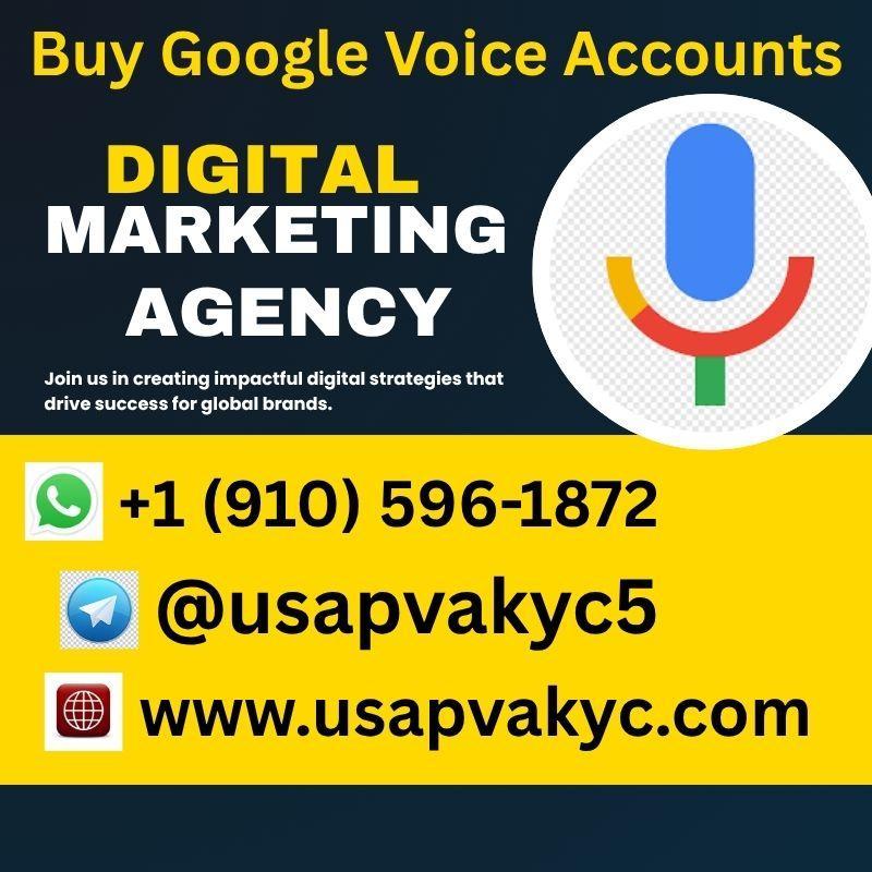 Google  Voice 